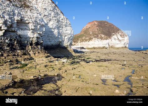 Wave Cut Notch Flamborough Head Hi Res Stock Photography And Images Alamy