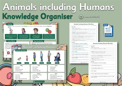 Year 5 Science Animals Including Humans Knowledge Organiser Life