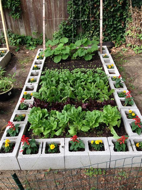 How To Build A Raised Veggie Garden