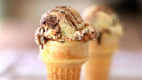 Ice Cream Recipe With Lactaid Milk Bryont Blog