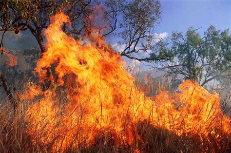What Is Fire Weather Definition And Monitoring