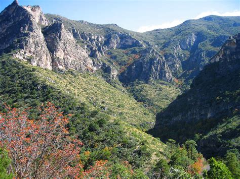 Mountain Pictures: Guadalupe Mountains National Park