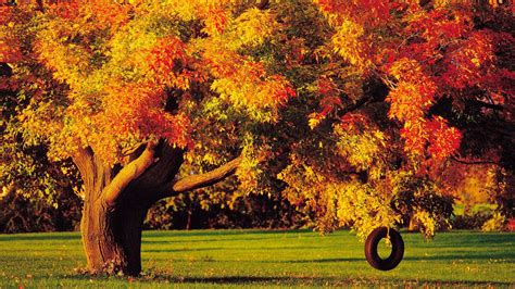 Fall Foliage Wallpaper For Desktop ·① Wallpapertag