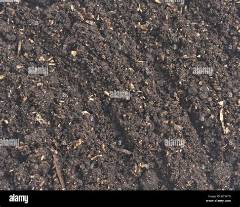Black Clay Soil Hi Res Stock Photography And Images Alamy