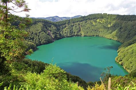 The azores is an archipelago of nine islands located in the north atlantic ocean, about 2 hours from europe and 5 from north america. Non-Stop Birding: Azores trip, Sao Miguel
