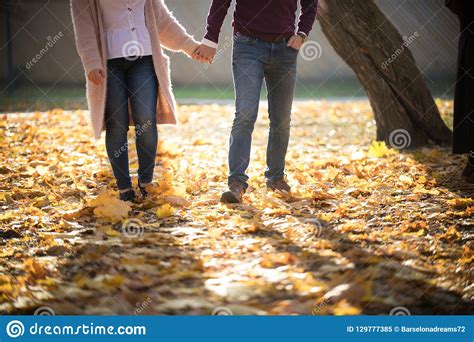 A Cute Young Couple Walking In Autumn Park Holding Hands Stock Image