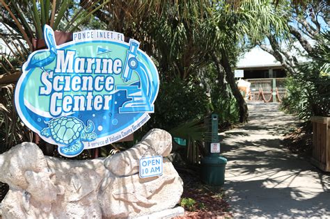 The Marine Science Center Is A Must See Destination During Your Trip To