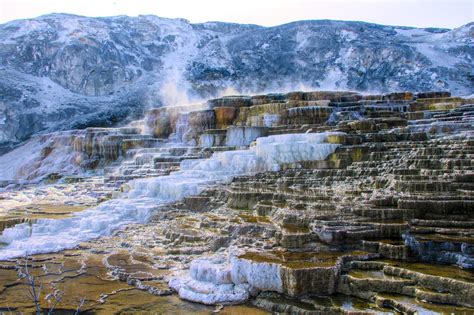 Parco Nazionale Di Yellowstone Cosa Vedere Notizie Reali Dallamerica