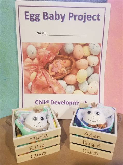 10 Day Egg Baby Project Etsy
