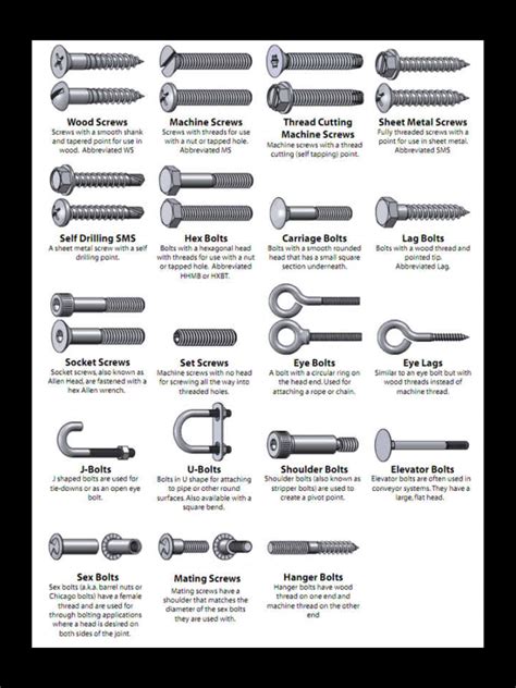 Types Of Screws Screws And Bolts Woodworking Tips Tools