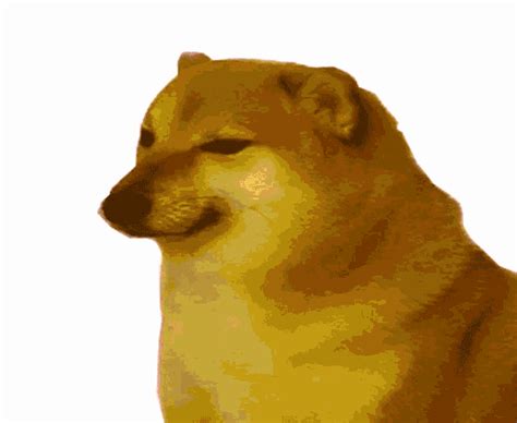 Doge  Dog Praying Animated  Cool S Animation Discover