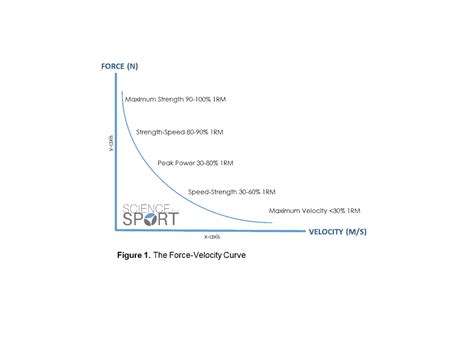 Force-Velocity Curve | Science for Sport