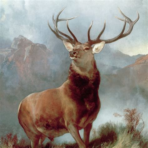 Deer Art Drawings Paintings Prints And Photos Great Big Canvas