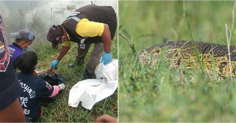 Kalian pasti sering denger soal bayi yang dibuang orang tuanya di tempat sampah atau di selokan.ketika mendengar berita atau kejadian itu pasti sungguh sangat terdengar miris. Mayat Bayi Baru Lahir Dipercayai Dibuang Ditemui Dengan ...