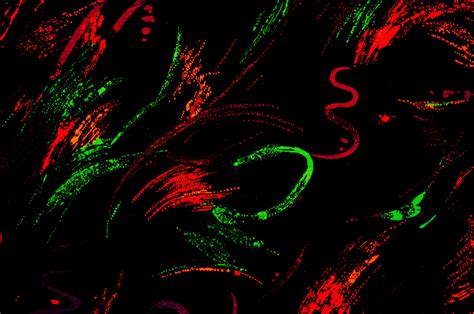 Black Red Green Background Free Stock Photo Public Domain Pictures