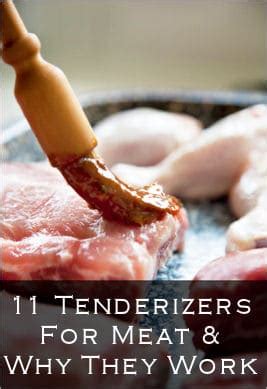 When to use meat tenderizer? 11 Meat Tenderizers & Why They Work
