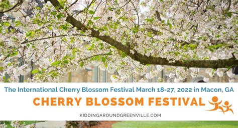 See 350000 Blossoming Cherry Trees At This Festival In Macon Ga