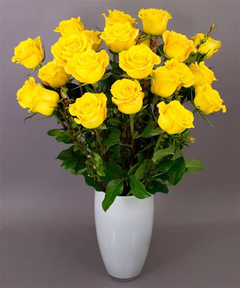 Long Stemmed Yellow Roses Danvers Ma Delivery Currans Flowers