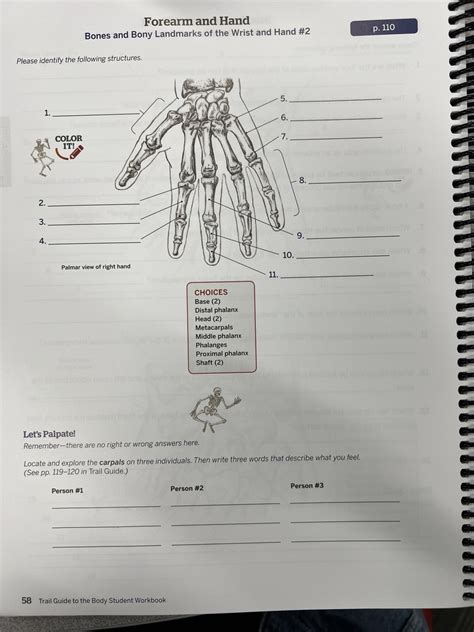 Bones And Bony Landmarks Of Wrist And Hand 2 Diagram Quizlet