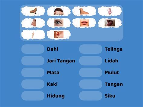 Bagian Tubuh Match Up