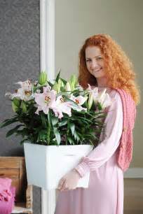Lilie Ist Zimmerpflanze Des Monats Februar Als Zimmerpflanze Zeigt