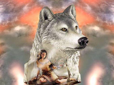 Wolf Dreamcatcher Wolf Dreamcatcher American Indian Art Wolf Pictures