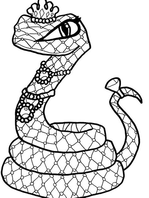 Download 264+ Reptiles Coloring Pages PNG PDF File