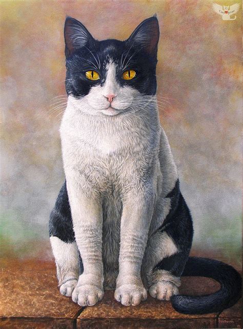 Major By Art Fromthe Heart On Deviantart Cats Illustration Cat