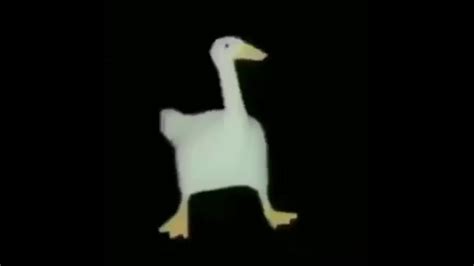 Duck Dancing For 10 Minutes Youtube