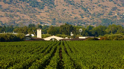 Mondavi Winery Sits In The To Kalon Vineyard It Says Theres No Such Place