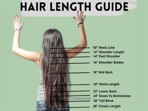 Long Hair Length Chart Understanding Your Hair Length