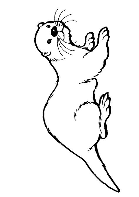 Hairy Nosed Otter Coloring Play Free Coloring Game Online