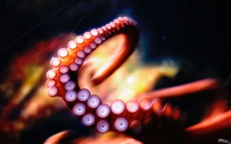Octopus Tentacles Underwater Blurred Hd Wallpaper Wallpaper Flare