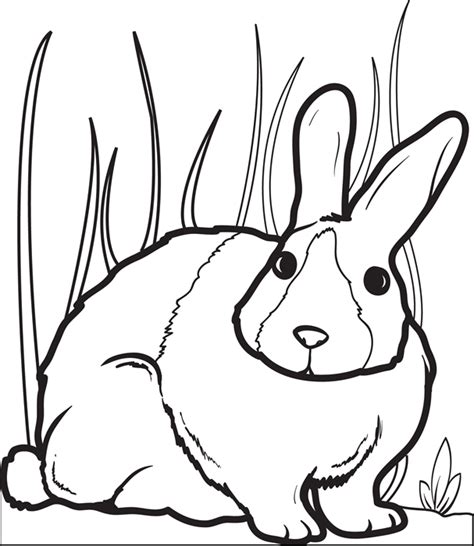 Find over 200 free, printable easter bunny coloring pages that the kids will love. SupplyMe Online Teacher Supply Store (Formerly MPM School ...