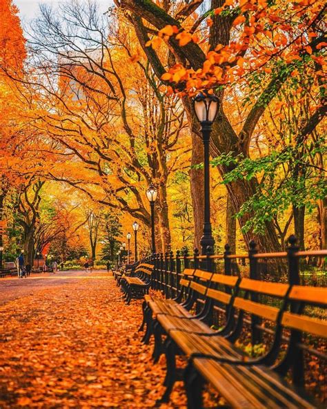 Central Park Nyc Fall Favorites Full Time Explorer Nyc New York