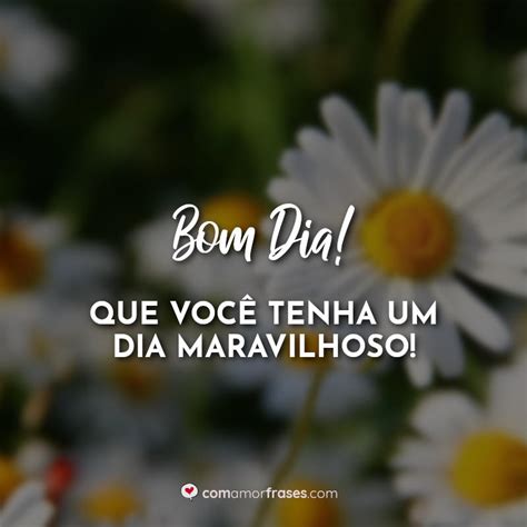 Frases Que Dia Maravilhoso