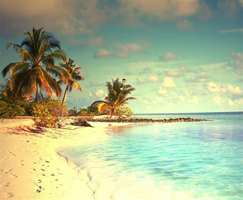 Tropical Wallpaper Tropical Wallpapers 2016