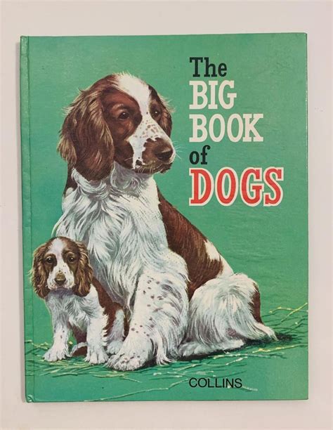 The Big Book Of Dogs Vintage 1970s Childrens Picture Book Etsy In