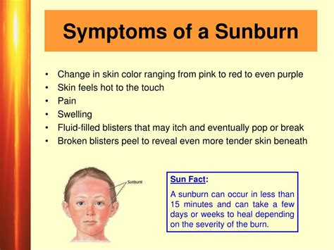 Ppt Sun Safety Exposure Damage And Prevention Powerpoint