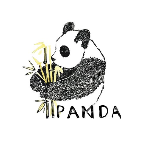 Hand Drawn Panda With Bamboo Graphic Illustration Isolated On White