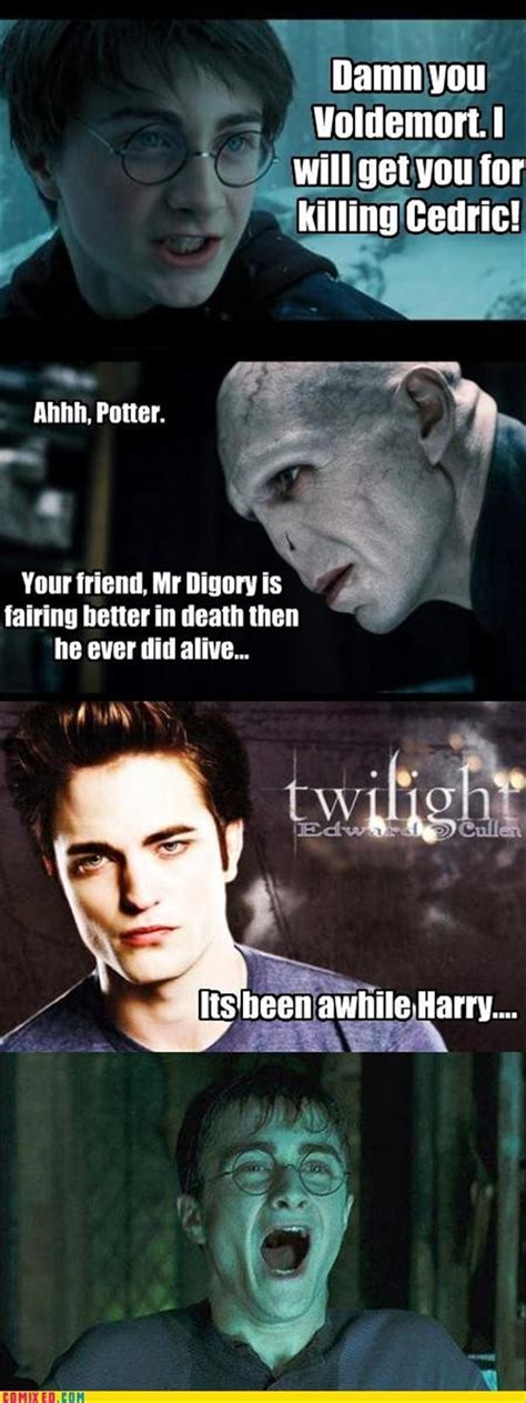 Funny Harry Potter Pictures 42 Pics
