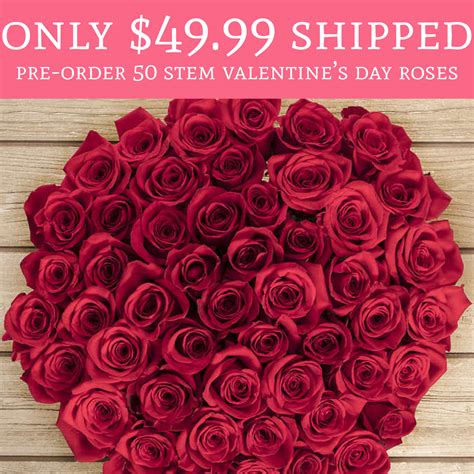 Only 4999 Shipped Pre Order 50 Stem Valentines Day Roses Deal