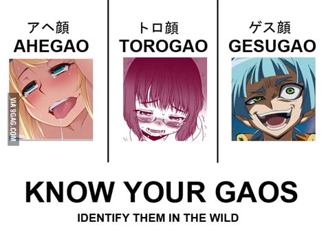 Know Your Gaos Gag
