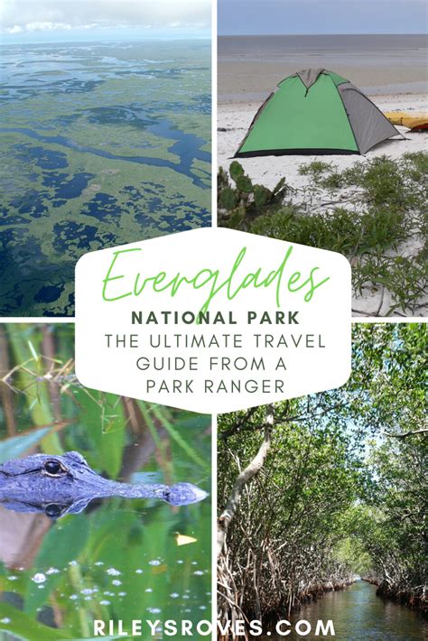 Visiting Everglades National Park The Parks Expert Guide In 2020