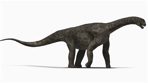 Giant Sauropod Dinosaurs May Have Sported Turtlelike Beaks Science Aaas