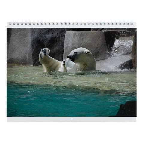 Polar Bears Wall Calendar By Crazybouthercat