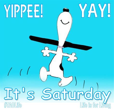 Snoopy Saturday Morning Quotes Weekend Quotes Saturday Saturday Funny Morning Morning Memes