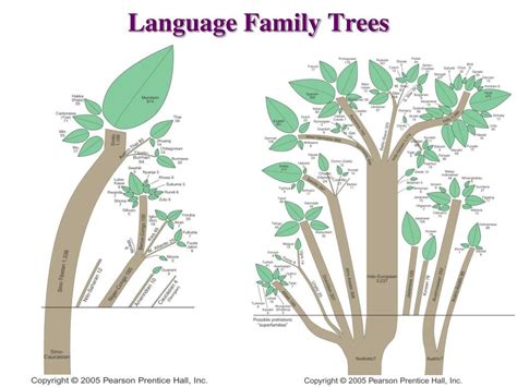 Ppt Language Powerpoint Presentation Free Download Id4487148