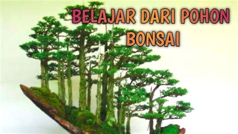 Belajar Dari Pohon Bonsai Youtube