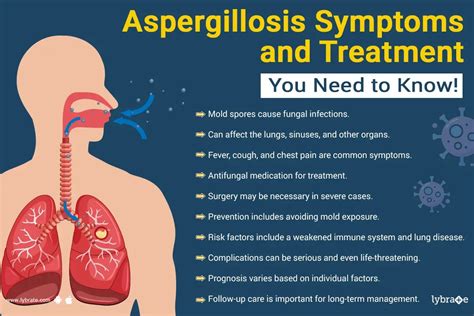 Aspergillosis Signs Causes And Treatment By Dr Hemraj Meena Lybrate